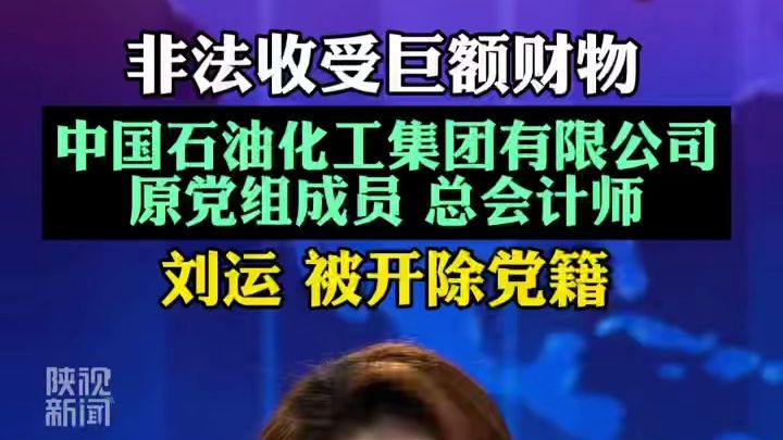 中国石油化工集团有限公司 原党组成员 总会计师 刘运 被开除党籍