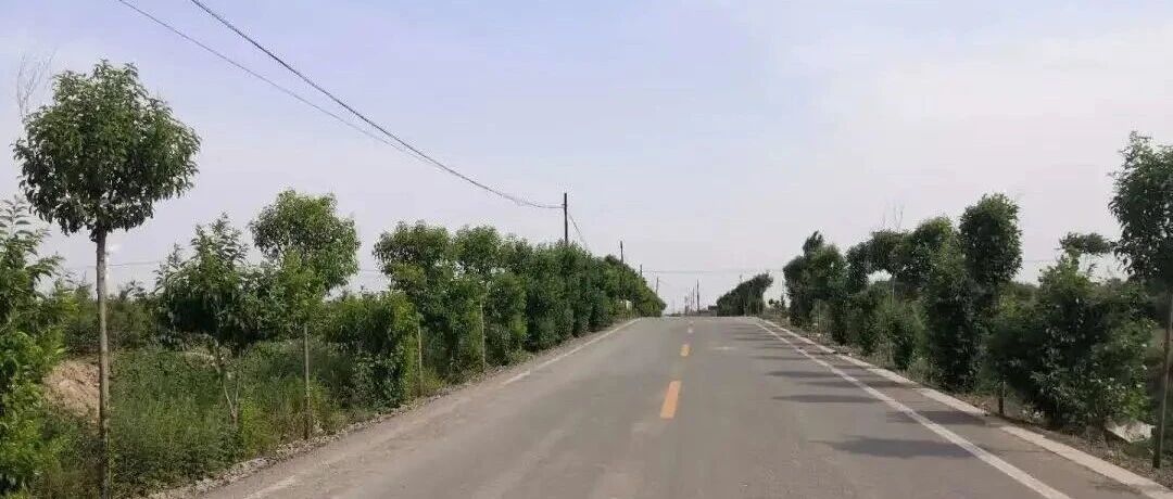 舒心、放心！他们这样一步步改善村民生活→