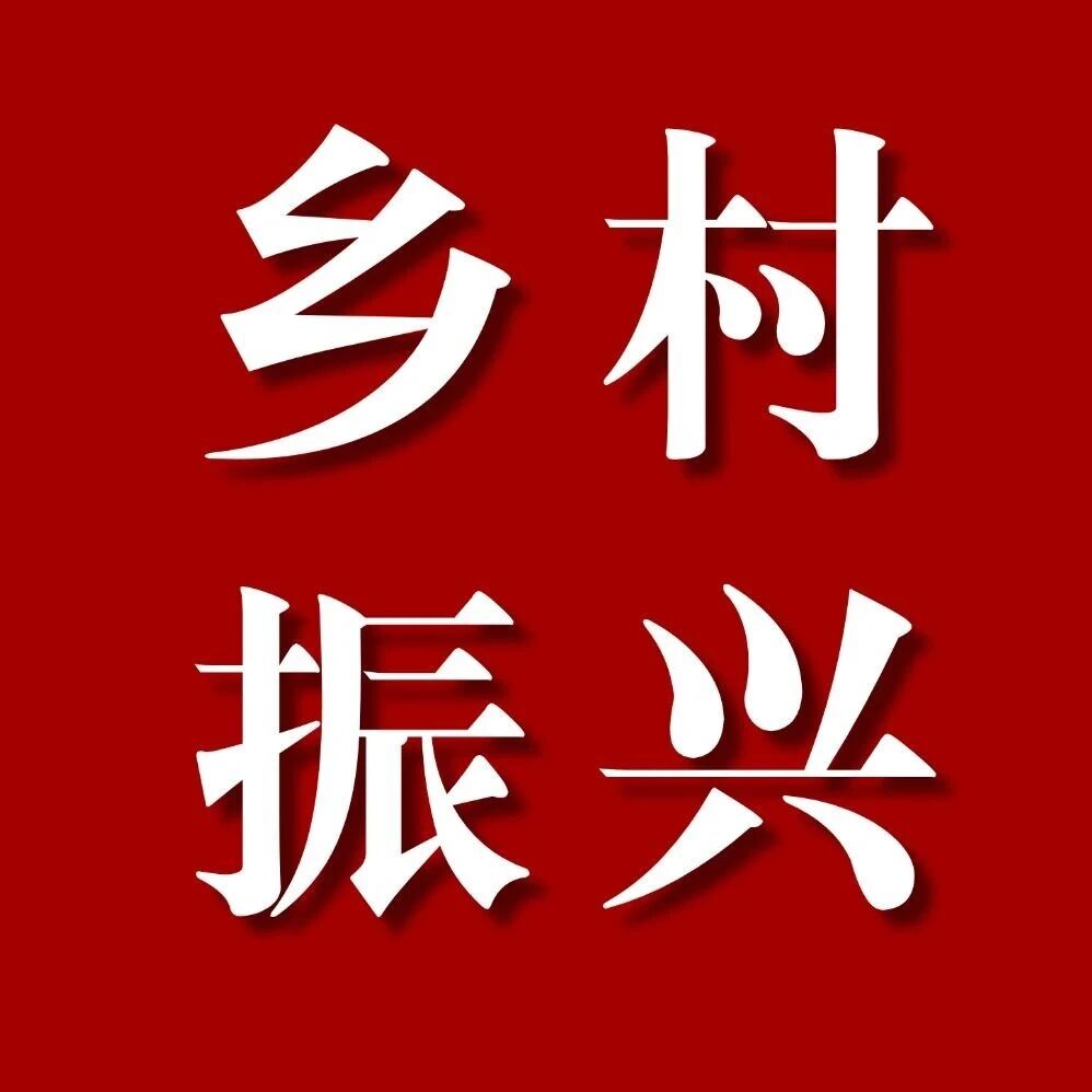 这堂开在田间地头的培训课堂，干货满满！