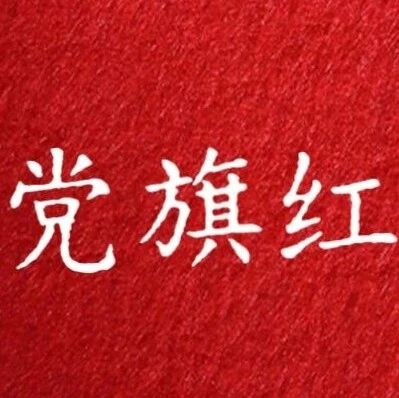 【边疆党旗红】密山市检察院：党建红引领检察蓝　用心守护少年的你