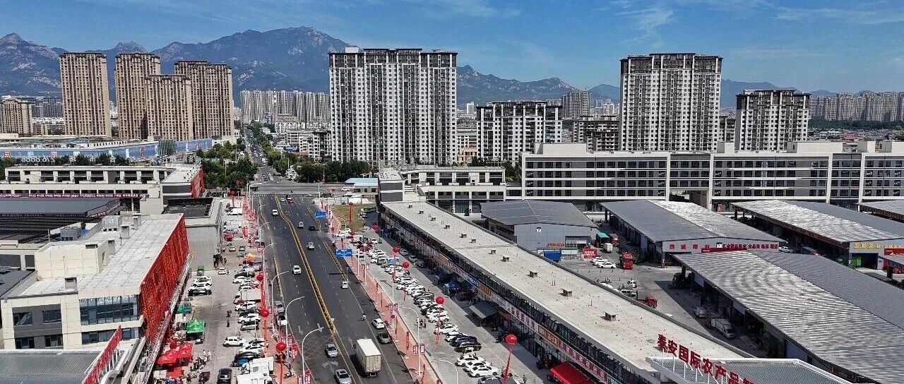 上半年增速居全省首位 对经济增长贡献率达69.7% 泰安服务业扩能提质 点燃千行百业“新引擎”