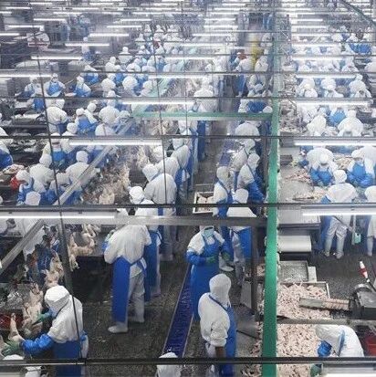开局“十五五” 奋斗正当时·一线报道丨今年1至7月出口量同比增长27.7倍 泰安禽肉畅销海外
