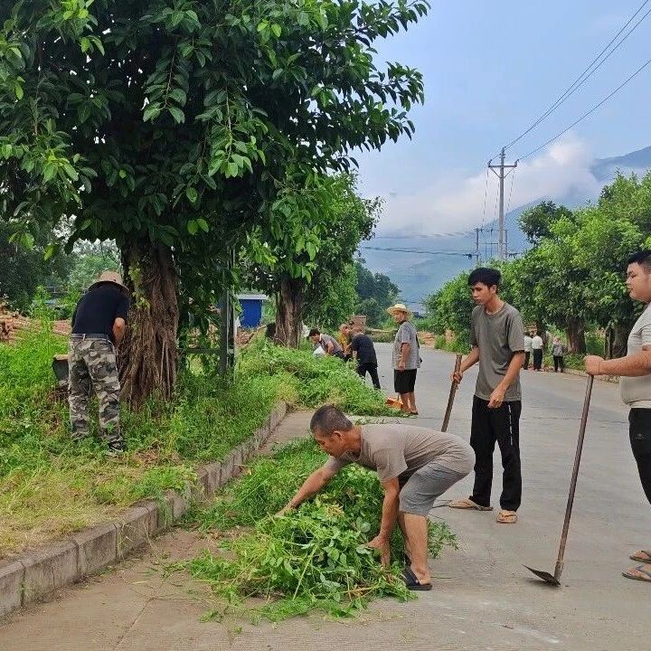 勐拉镇:人居环境整治不停歇 擦亮和美集镇新面貌 勐拉镇:人居环境整治不停歇 擦亮和美集镇新面貌