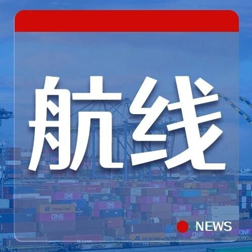 65%亚欧航线“不撞车”!船公司正在错开布局 65%亚欧航线“不撞车”!船公司正在错开布局