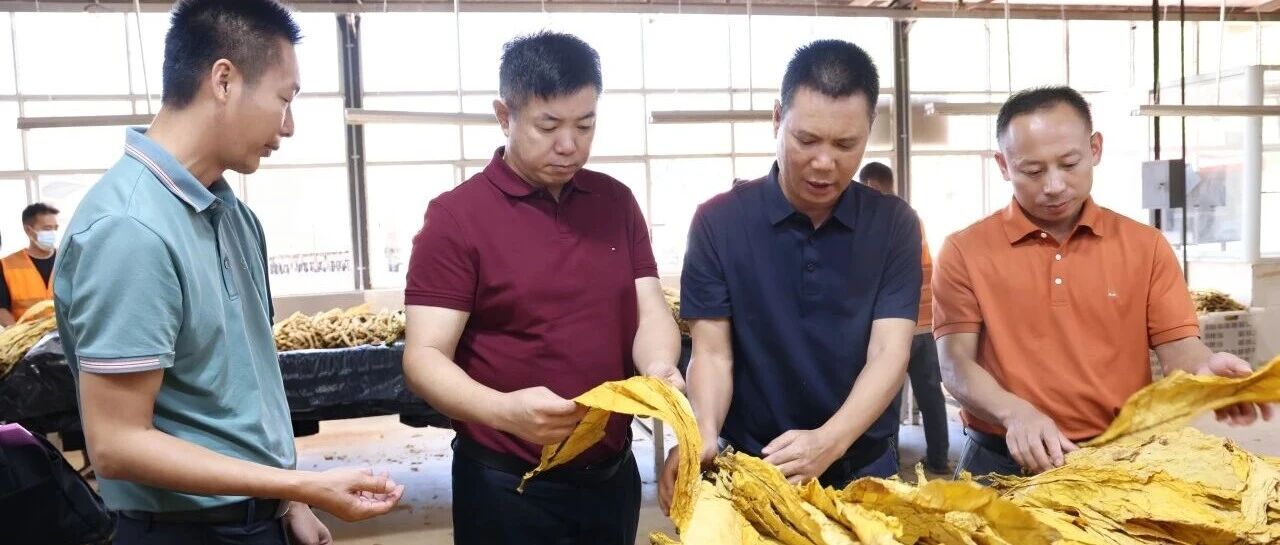 武咏健到联珠镇督导烤烟收购工作时强调:紧盯时序抓进度 严控品质提质效 圆满完成全县烟叶生产收购目标任务 武咏健到联珠镇督导烤烟收购工作时强调:紧盯时序抓进度 严控品质提质效 圆满完成全县烟叶生产收购目标任务