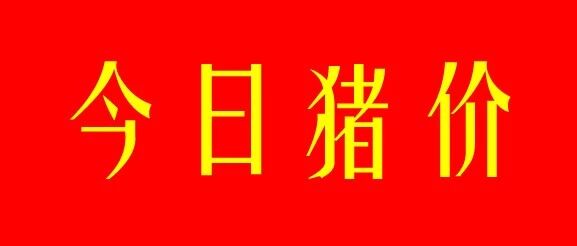 猪价趋稳!2026年9月16日-今日最新猪价行情分享 猪价趋稳!2026年9月16日-今日最新猪价行情分享