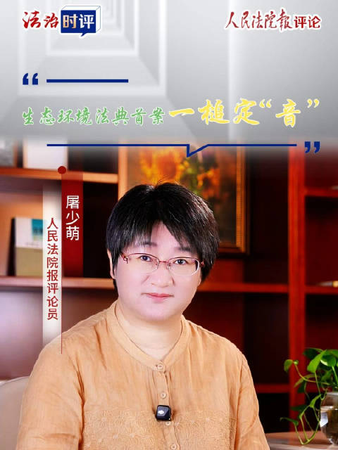 人民法院报评论