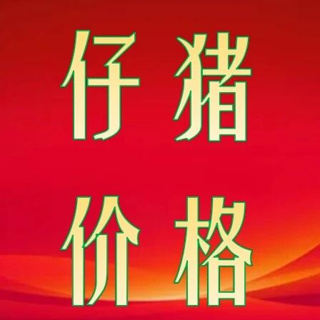 9月16日仔猪价格行情参考 9月16日仔猪价格行情参考