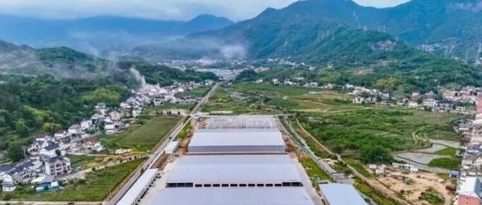 菌菇迎丰收,项目加速跑——安徽省食用菌行业2026年8月大事记 菌菇迎丰收,项目加速跑——安徽省食用菌行业2026年8月大事记