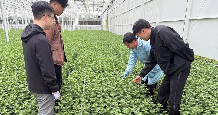 一起来认识崇明这位优秀的“红色花匠” 一起来认识崇明这位优秀的“红色花匠”