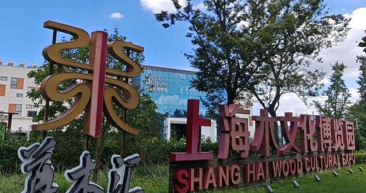 我隔着亿万时光与它对视：始于观木，终于悟心