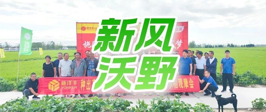从700斤到1200斤!盐碱地里闯出水稻高产路 从700斤到1200斤!盐碱地里闯出水稻高产路