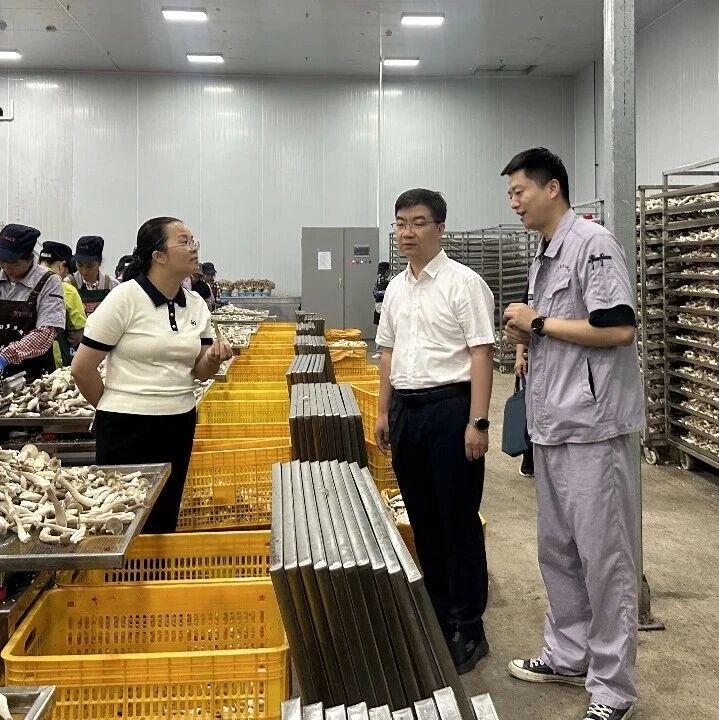 市领导彭海锋到富川调研