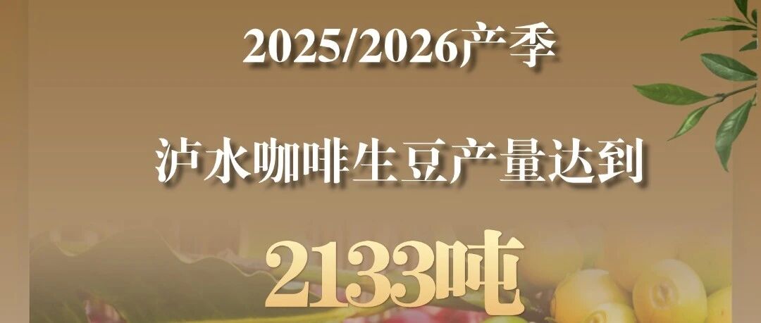 中国咖啡看云南 无限可能在怒江 | 峡谷有咖香，泸水等君来！