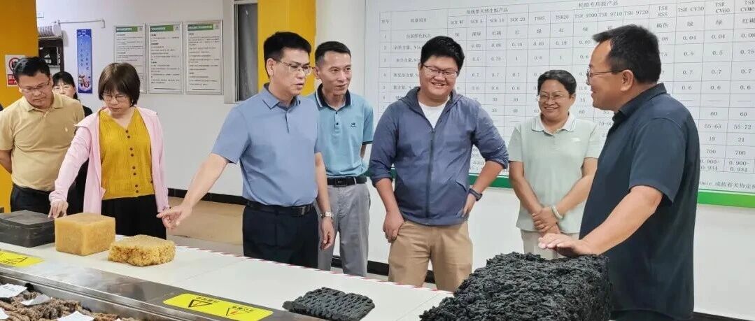 王小荣带队赴云南省开展橡胶产业调研招商工作