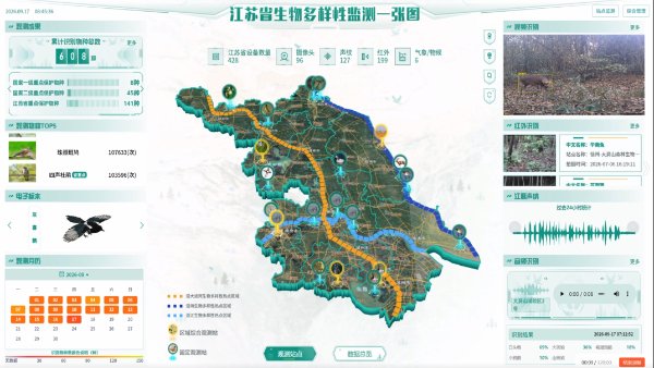 本土标本库、智能识别技术……AI为珍稀鸟儿“上户口”