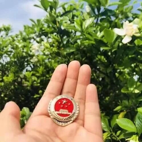 控辩审三方同堂培训,共学共研认罪认罚从宽制度规范适用 控辩审三方同堂培训,共学共研认罪认罚从宽制度规范适用