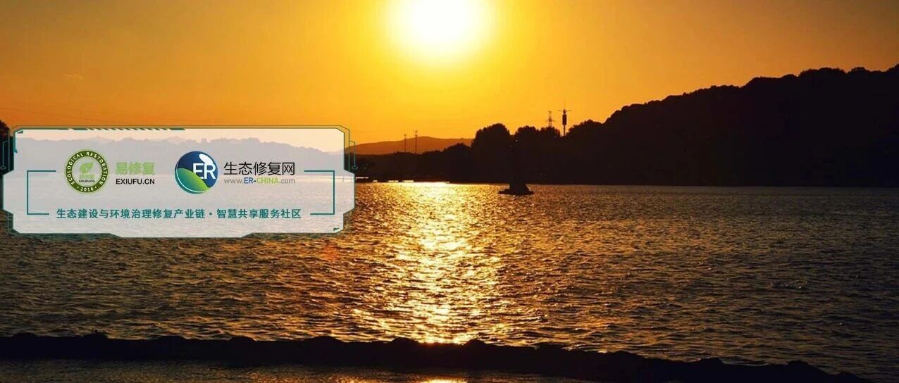 【专家视角】哈尔滨工业大学Nature Water|新污染物干扰,微生物多排温室气体 【专家视角】哈尔滨工业大学Nature Water|新污染物干扰,微生物多排温室气体