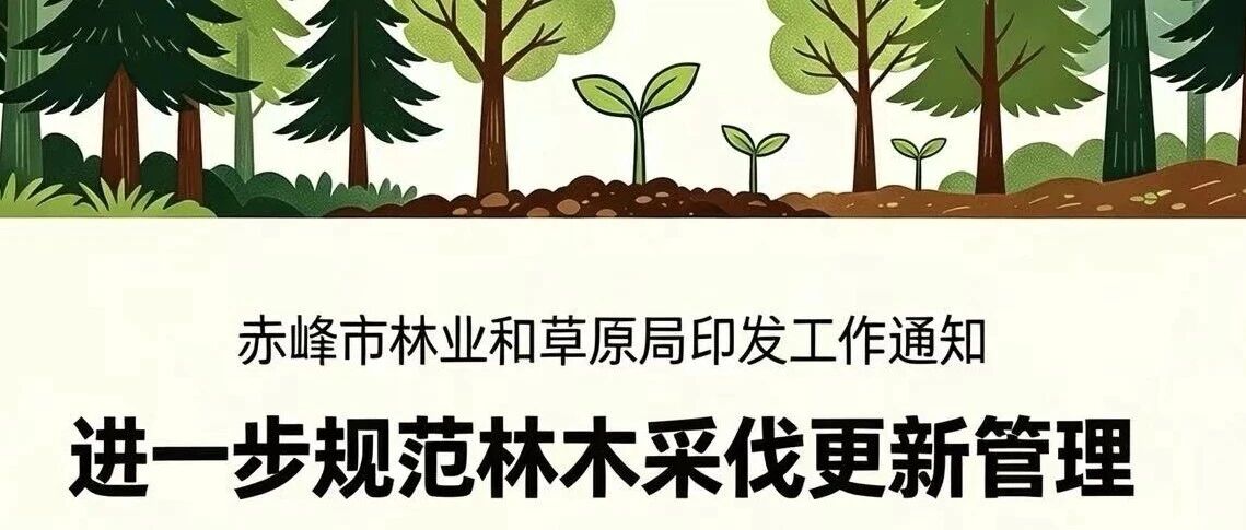 赤峰市林业和草原局:八项举措规范林木采伐更新管理 赤峰市林业和草原局:八项举措规范林木采伐更新管理