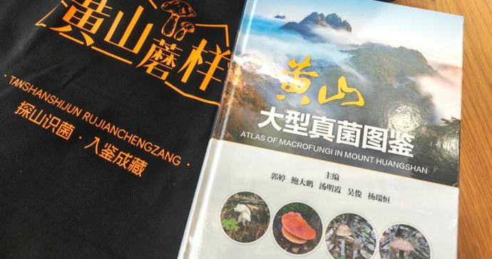 东方牛舌菌、黄山松塔牛肝菌……黄山近8年新发现9种大型真菌 东方牛舌菌、黄山松塔牛肝菌……黄山近8年新发现9种大型真菌