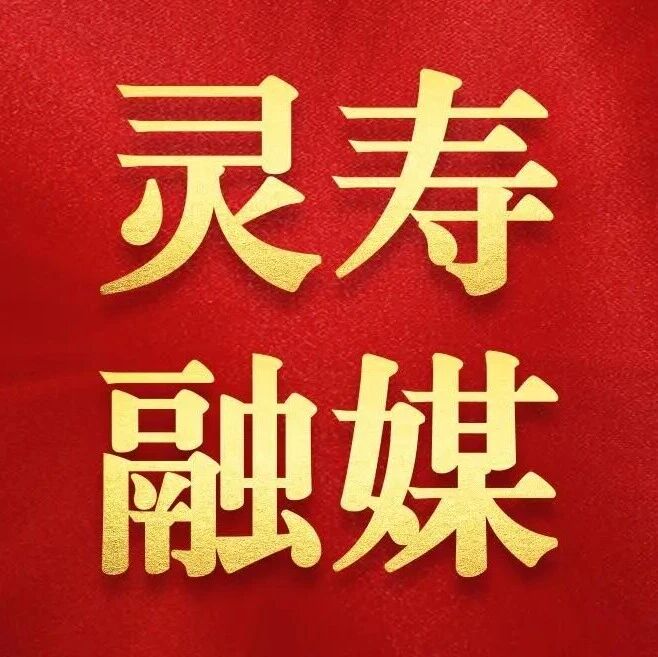 灵寿县农业技术推广中心开展《中华人民共和国种子法》宣传活动 灵寿县农业技术推广中心开展《中华人民共和国种子法》宣传活动