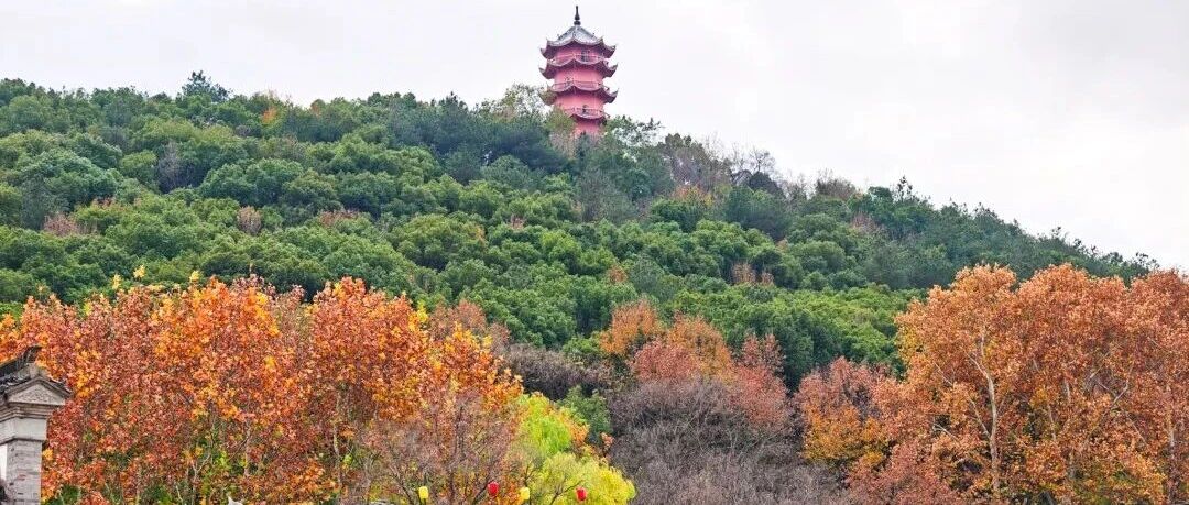 喜迎党代会|赓续文脉 聚力兴旅 喜迎党代会|赓续文脉 聚力兴旅
