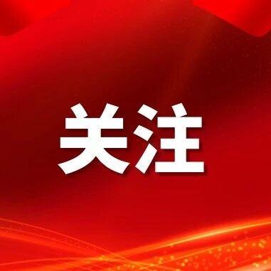 广州市各区工商联(总商会)圆满完成2026年换届 广州市各区工商联(总商会)圆满完成2026年换届