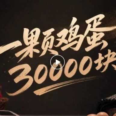 【全民反诈】反诈短剧:《一颗鸡蛋30000块》 【全民反诈】反诈短剧:《一颗鸡蛋30000块》
