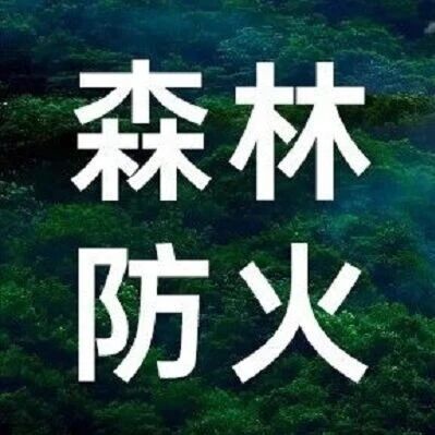 严防森林火灾 守护生态安全