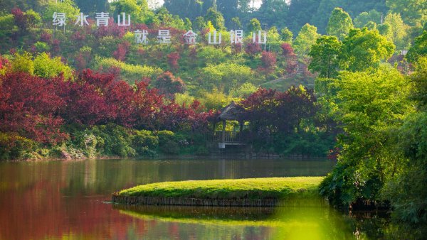 重庆推动乡村建设从“单点盆景”迈向“全域风景” 重庆推动乡村建设从“单点盆景”迈向“全域风景”