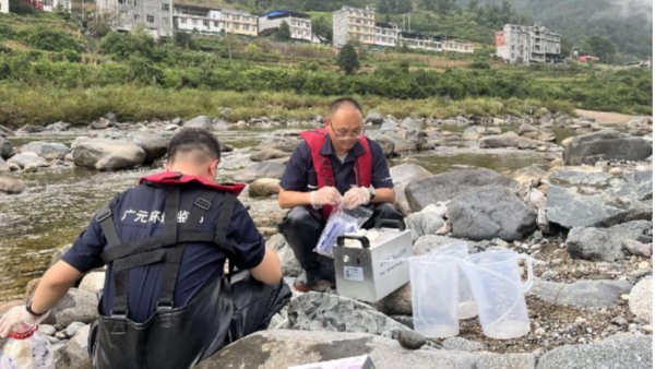 广元首次自主检测出106种鱼类 广元首次自主检测出106种鱼类