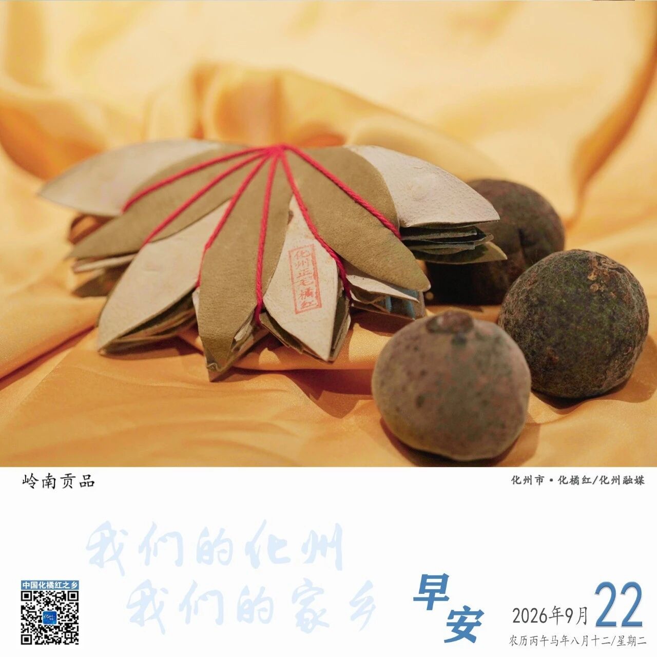 绿美化州•每日一图 | 化橘红 绿美化州•每日一图 | 化橘红
