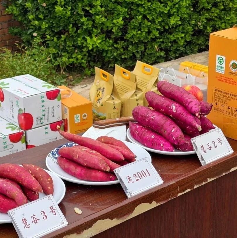 直播助农拓销路!石末乡特色农产品搭上“云快车” 直播助农拓销路!石末乡特色农产品搭上“云快车”