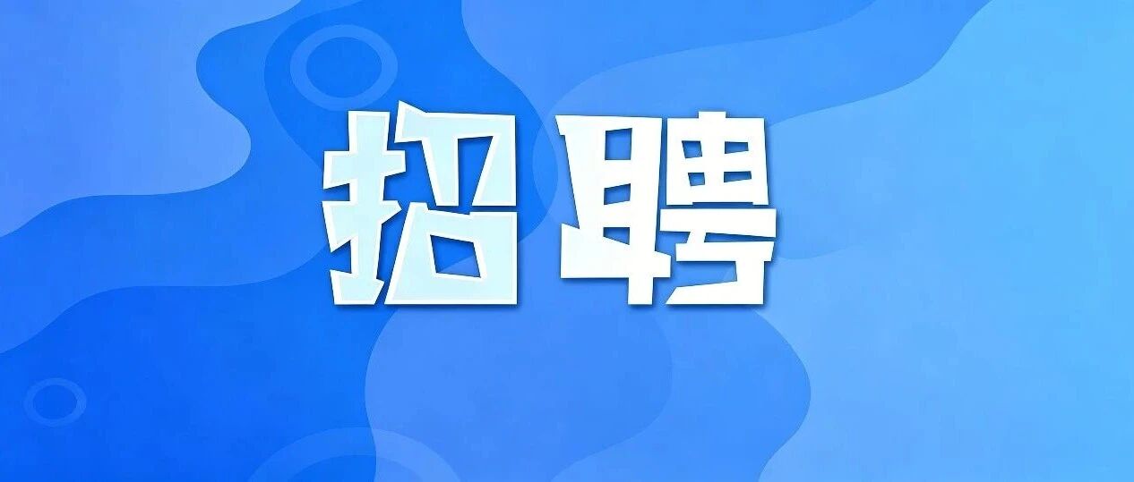 2026年双鸭山市事业单位公开招聘公告 2026年双鸭山市事业单位公开招聘公告