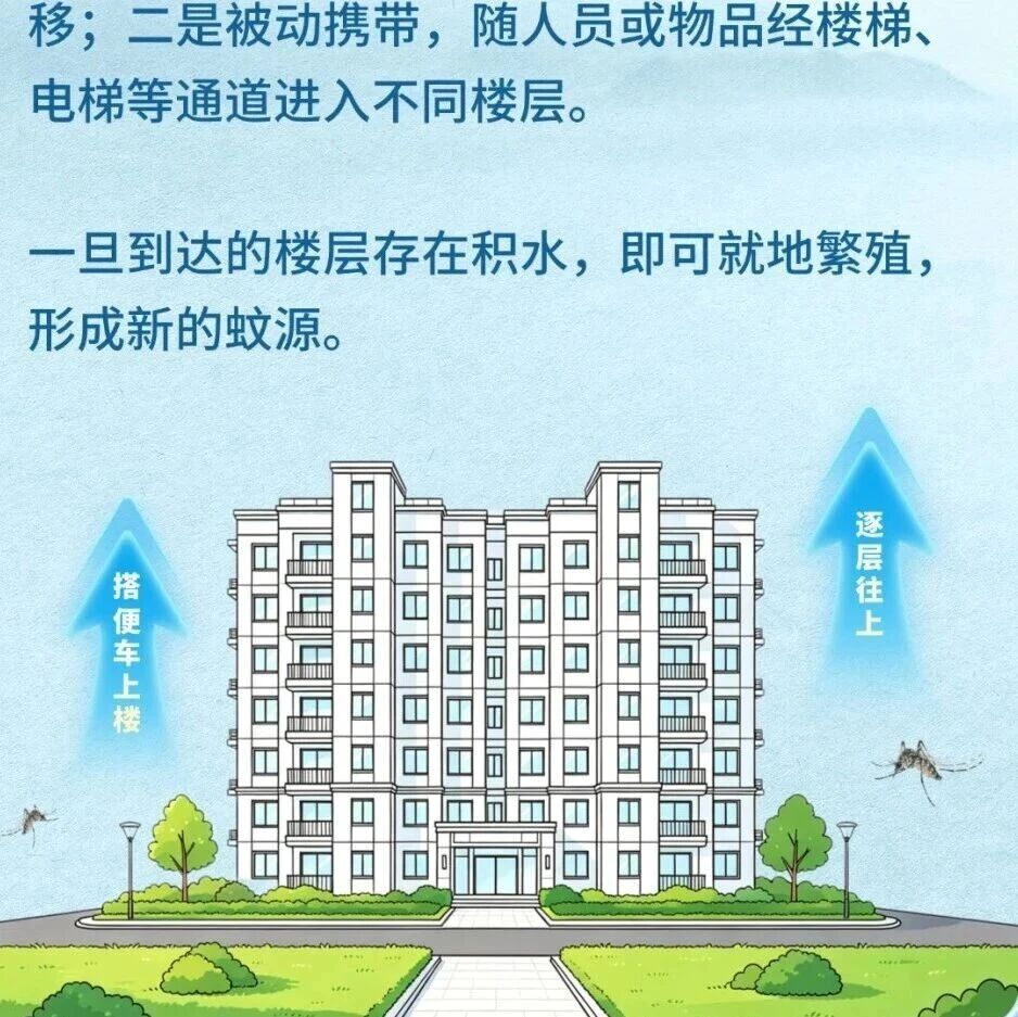 住高层就没有蚊子了吗?重点查这4处“养蚊死角”→ 住高层就没有蚊子了吗?重点查这4处“养蚊死角”→
