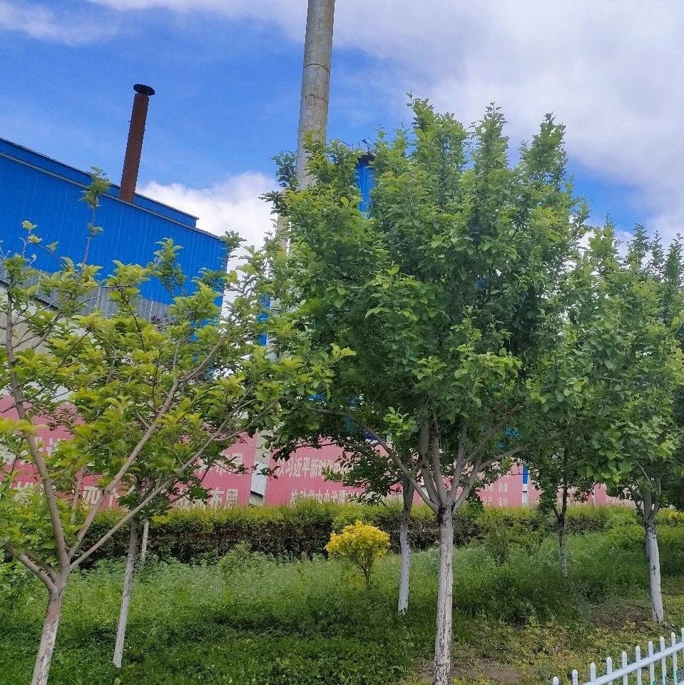 廉洁教育 | 清风过双节 廉洁守初心 廉洁教育 | 清风过双节 廉洁守初心