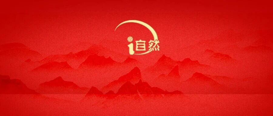 11张海报→→“十五五”期间,我们怎么干? 11张海报→→“十五五”期间,我们怎么干?