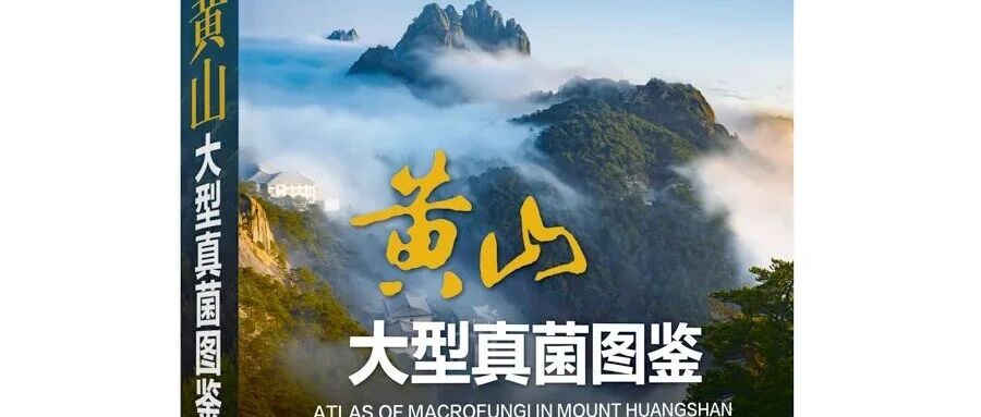 《黄山大型真菌图鉴》上海首发,发现“东方牛舌菌”填补多样性研究空白 《黄山大型真菌图鉴》上海首发,发现“东方牛舌菌”填补多样性研究空白