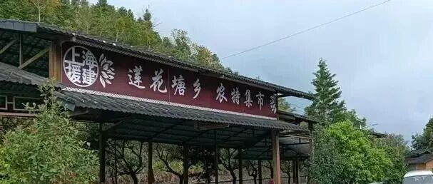 西畴莲花塘:农特小集市 解决群众卖难大问题 西畴莲花塘:农特小集市 解决群众卖难大问题