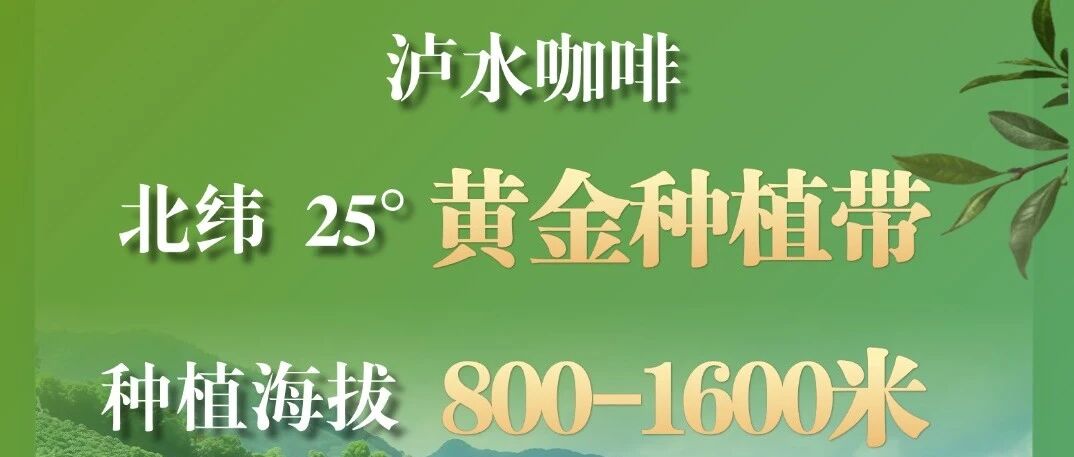 中国咖啡看云南 无限可能在怒江 | 来一杯会 中国咖啡看云南 无限可能在怒江 | 来一杯会