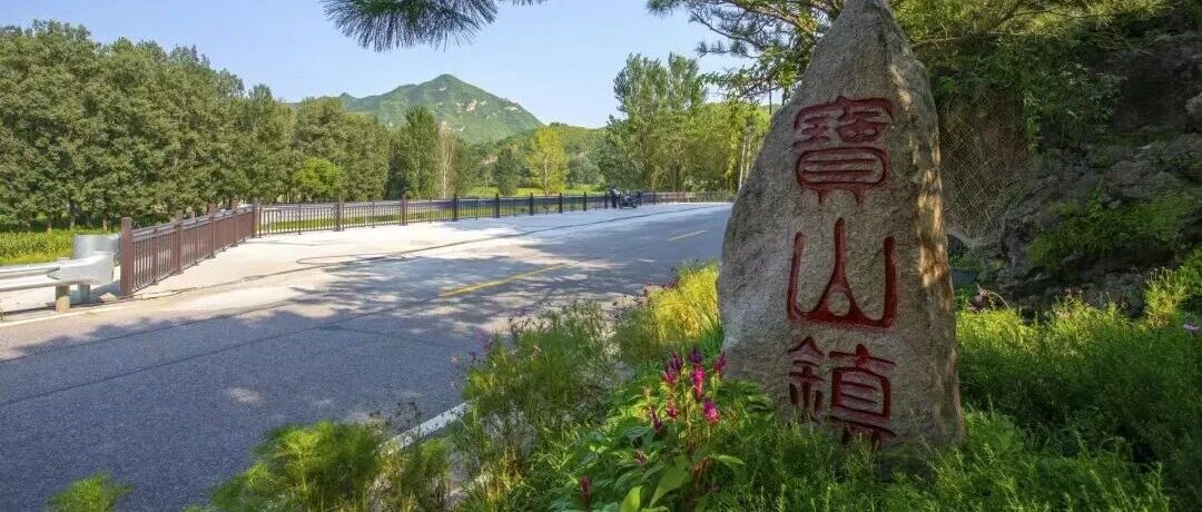 【三线三边】擦亮环境底色 绘就醉美宝山新画卷 【三线三边】擦亮环境底色 绘就醉美宝山新画卷
