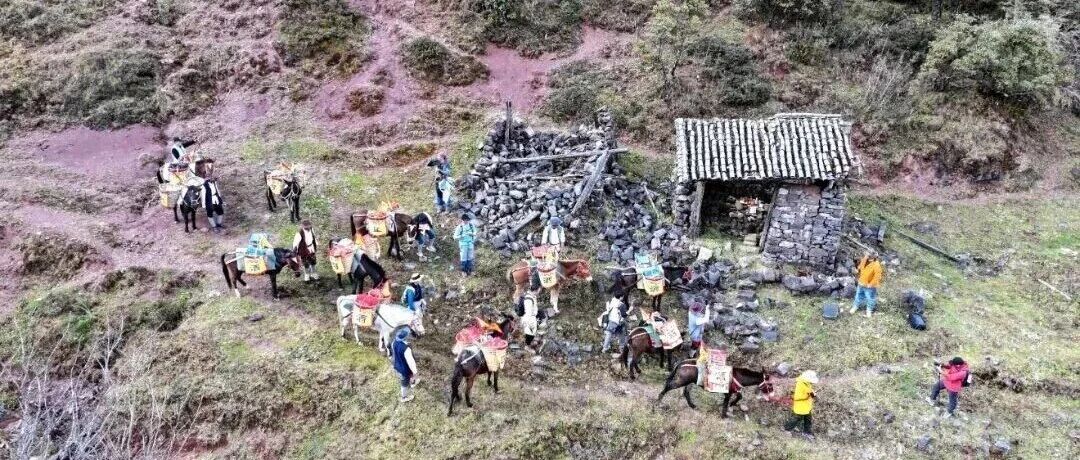 怒江兰坪:剑兰通道的千年蝶变与振兴征程 怒江兰坪:剑兰通道的千年蝶变与振兴征程