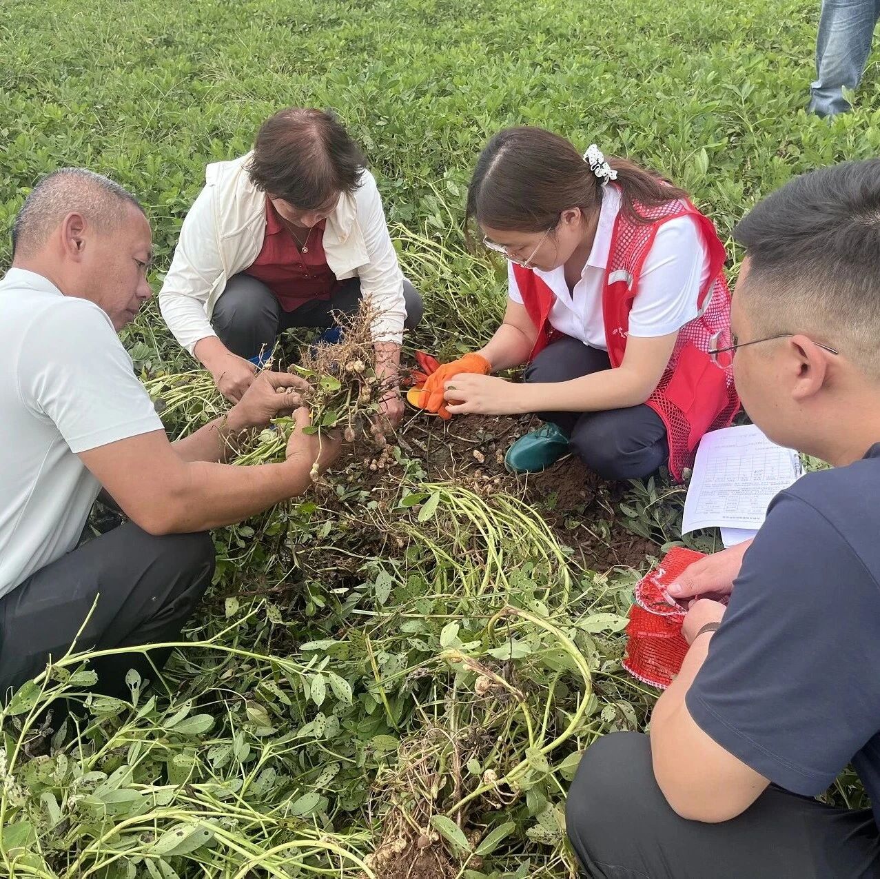 协会动态 | 田间地头练本领 秋理赔季强服务——平顶山保协组织开展农险查勘定损交流学习