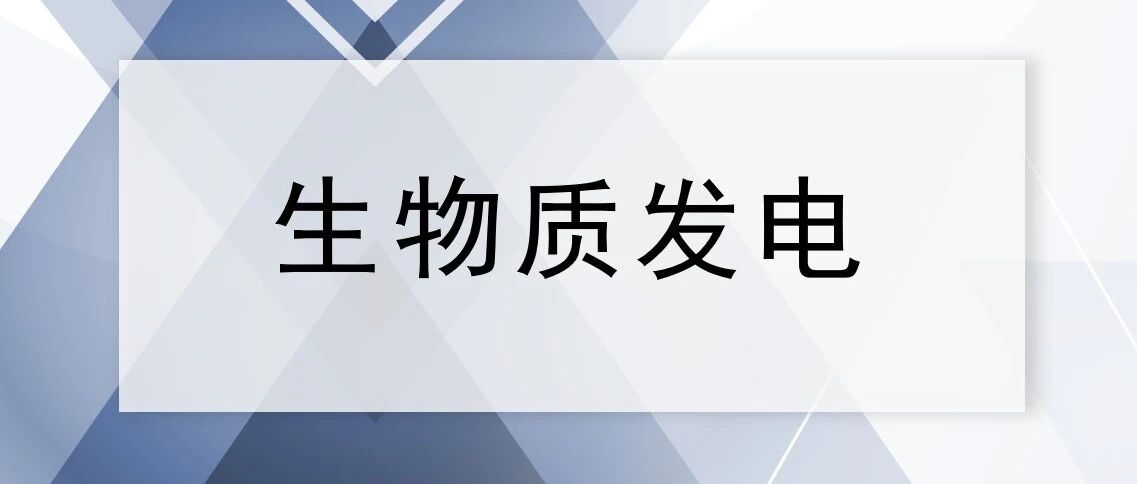 大安市现代星旗生物质发电有限公司重整投资人资格公开招募拍卖公告