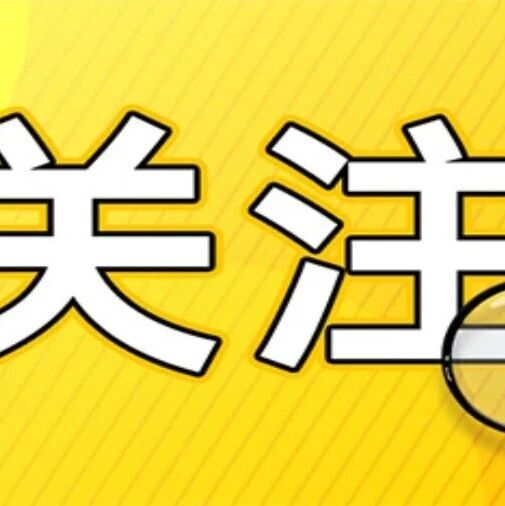 双节救不了猪价?10.6元磨底真相:真正的大行情要等到2027年 双节救不了猪价?10.6元磨底真相:真正的大行情要等到2027年