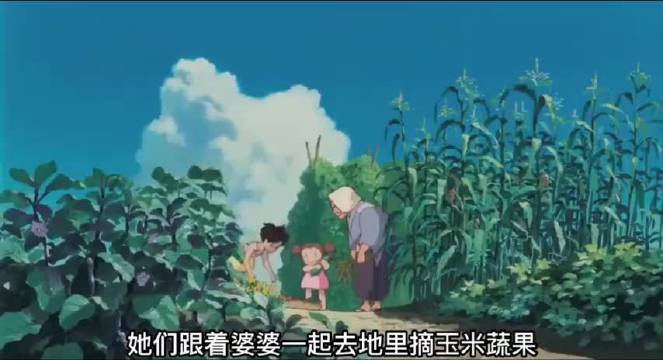 小梅带玉米给妈妈希望她快点好起来