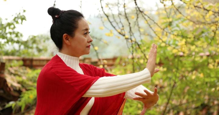 杨漫被认定为青城武术都江堰市代表性传承人