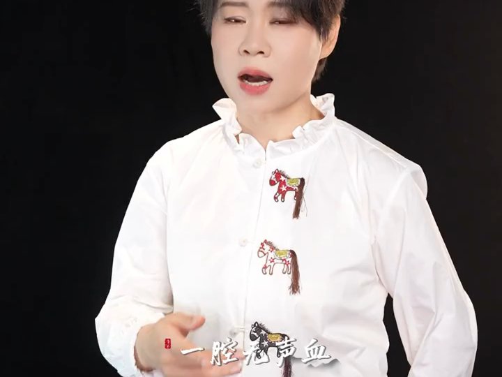 沈春阳《重整河山待后生》