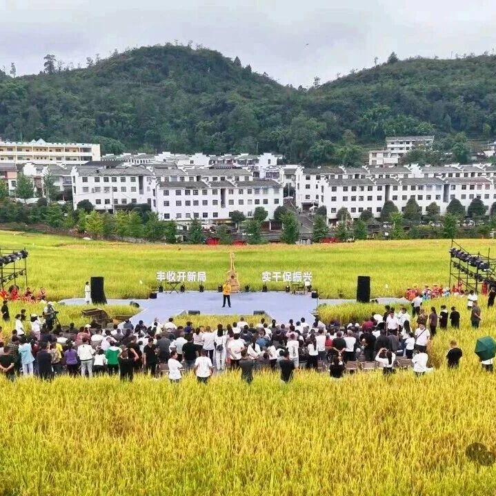 “中国农民丰收节”暨“乐享正安·稻田音乐汇”在正安举行 “中国农民丰收节”暨“乐享正安·稻田音乐汇”在正安举行