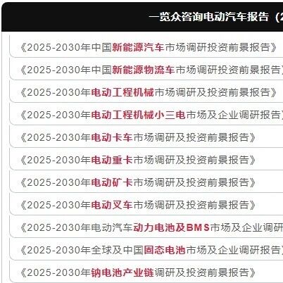 2025-2030年汽车低压锂电池市场及企业调研报告
